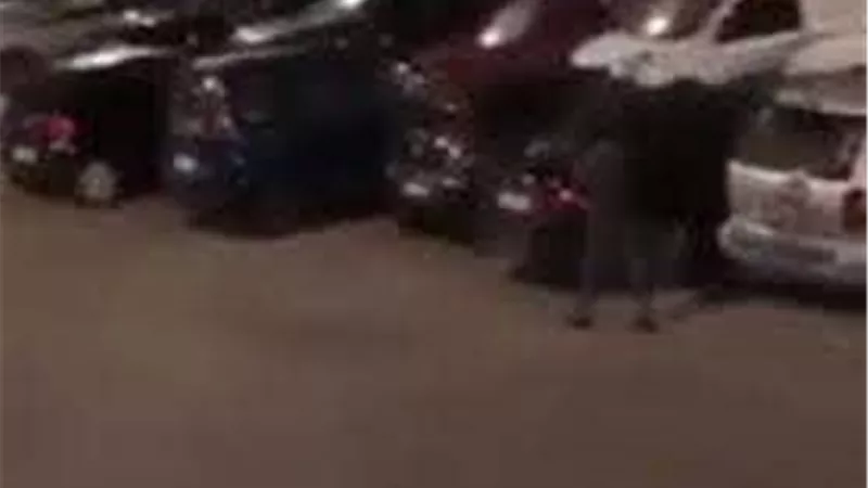  مصري بإيطاليا يحطم زجاج 56 سيارة في الشارع | فيديو 