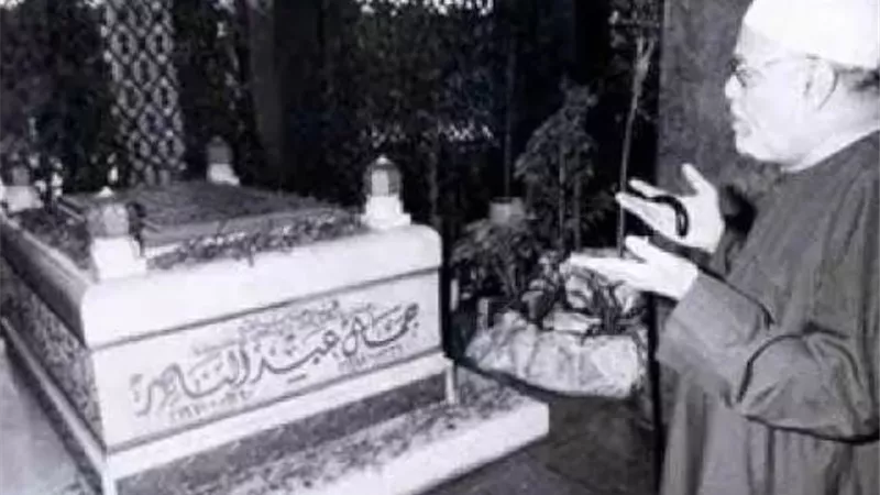 رؤيا دفعت 