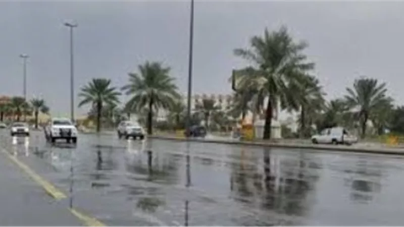 أمطار رعدية تصل لحد السيول.... الأرصاد تحذر وتعلن حالة الطقس غدا الأحد 1 نوفمبر 2020