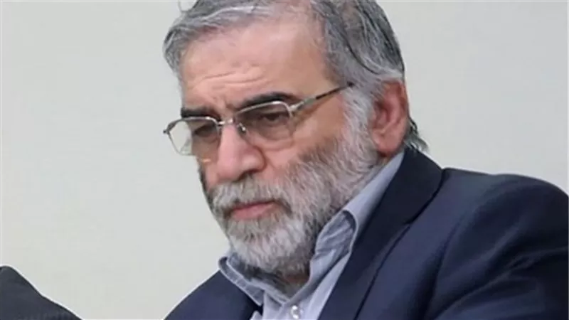 باحثة في الشأن الإيراني: تورط طهران في قتل العالم النووي أحد السيناريوهات المطروحة | فيديو