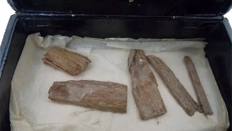 داخل علبة سيجار.. العثور على قطعة خشبية منذ بناء الهرم الأكبر عمرها 5 آلاف عام | شاهد
