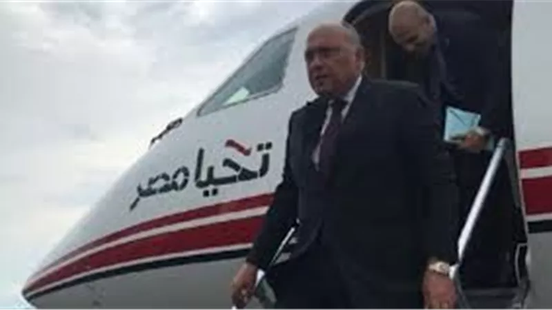 تفاصيل جديدة.. وزير الخارجية يكشف موقف مصر من التصالح مع قطر | فيديو