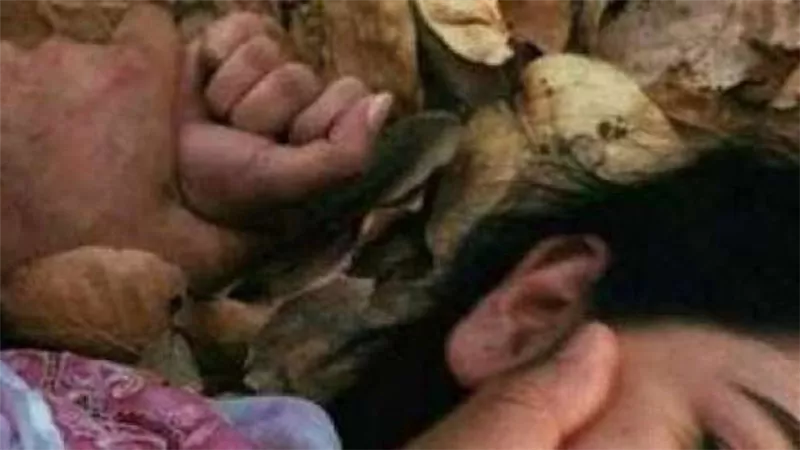 اعتدى عليها 3 مرات .. القصة الكاملة لاغتصاب طالبة الطب بشقة الهرم