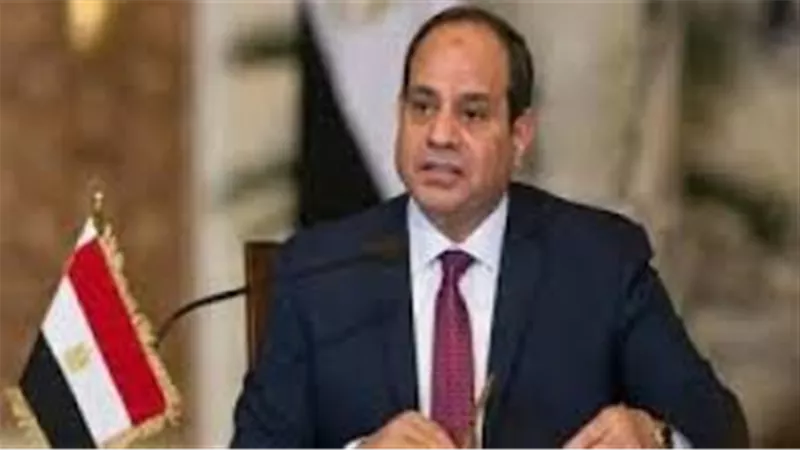 سنحتفل بكل مرحلة.. السيسي يعلن خبرا سارا للمصريين | فيديو