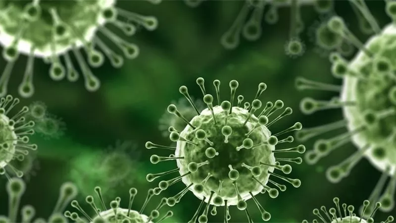 هذه طرق الوقاية منه .. معلومات صادمة عن فيروس نيباه القاتل