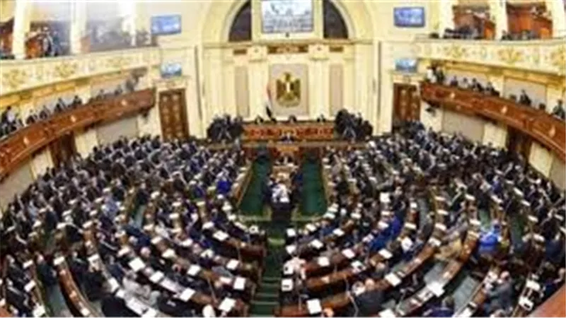 لهذه الفئة..وزير المالية يزف بشرى سارة من داخل مجلس النواب
