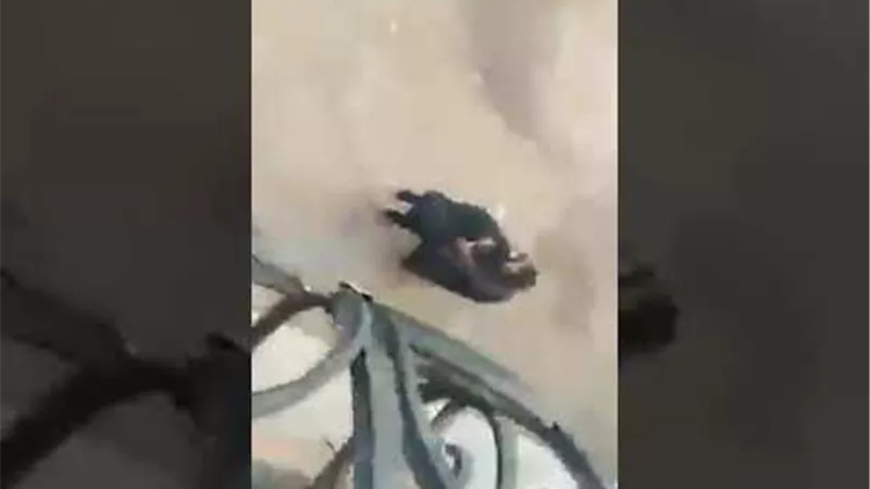 رفض الكشف على زوجته.. لحظة تحطيم مواطن سيارة طبيب 