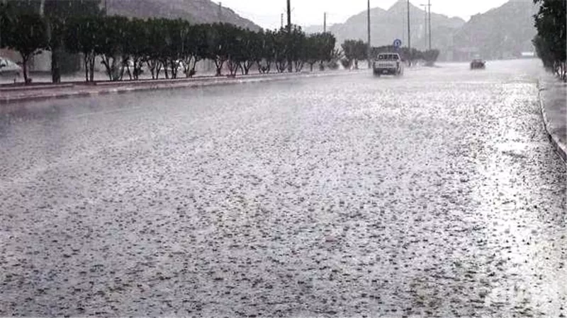 طقس قطبي في مصر .. سقوط ثلوج على القاهرة وأمطار غزيرة في هذا التوقيت