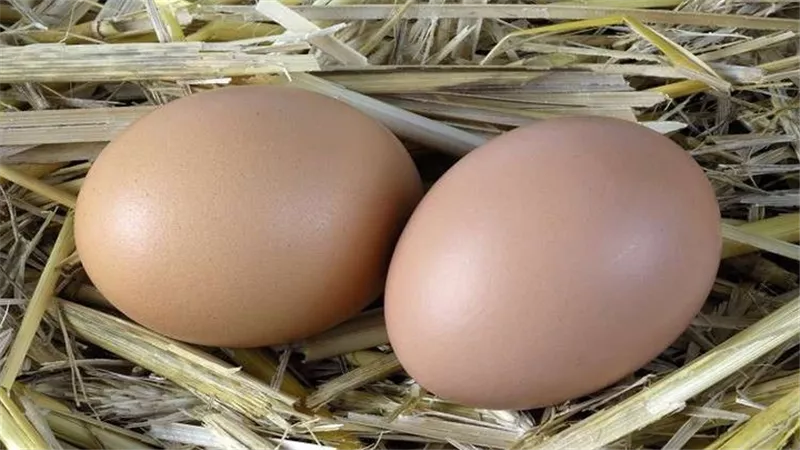 لن تتخيل..ماذا يحدث للجسم عند تناول بيضتين علي الريق ؟