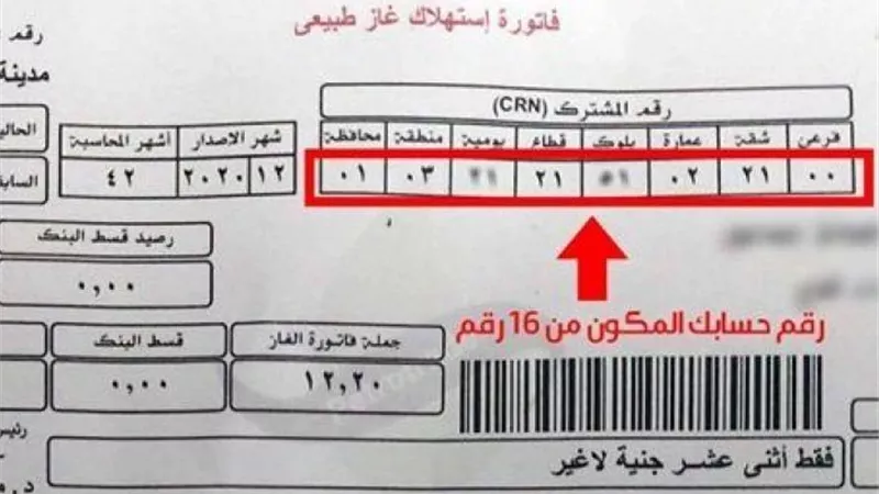 عداد الغاز المنزلي.. تحذير عاجل من البترول بخصوص فواتير شهر مارس