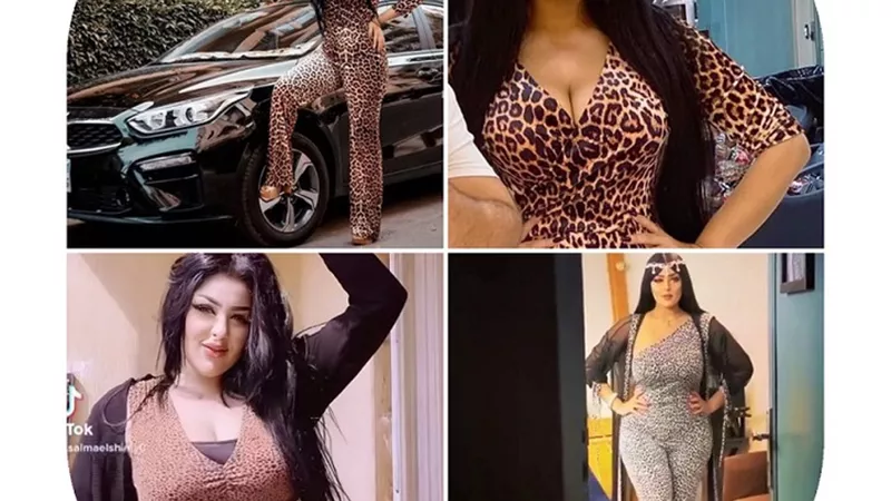 سترها الحجاب وأبرز أنوثتها جلد النمر.. سلمى الشيمي تثير الجدل بـ 5 إطلالات متشابهة | شاهد