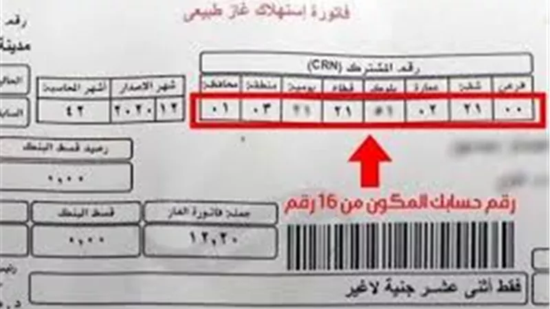 عداد الغاز المنزلي.. وزارة البترول تواصل التحذير بخصوص فواتير شهر مارس