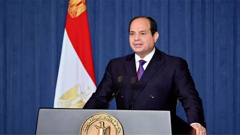 زواج بقرار جمهوري.. السيسي يأذن لدبلوماسى مصري بالزواج من تونسية 