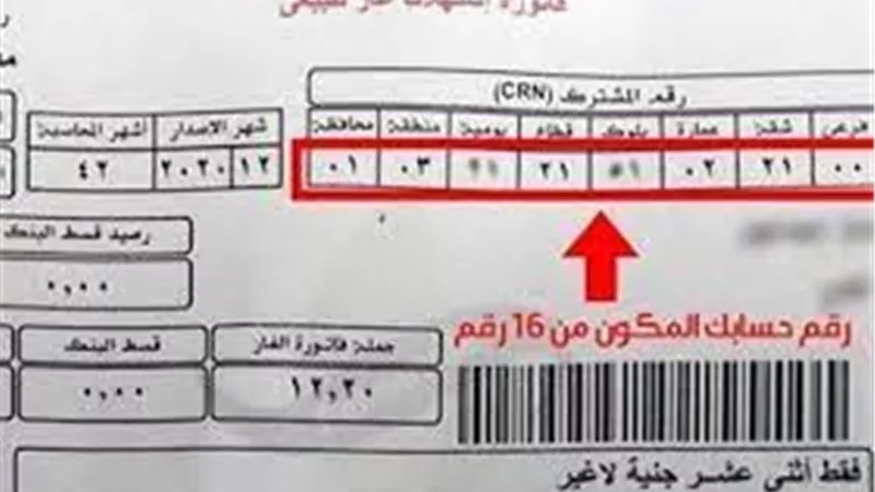 هذا الموعد الأخير .. تحذير هام من البترول بشأن فواتير غاز شهر مارس