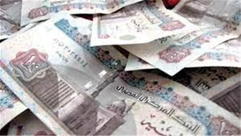 بعد قرار زيادة المعاشات ..اعرف قيمة زيادة معاشك | فيديو
