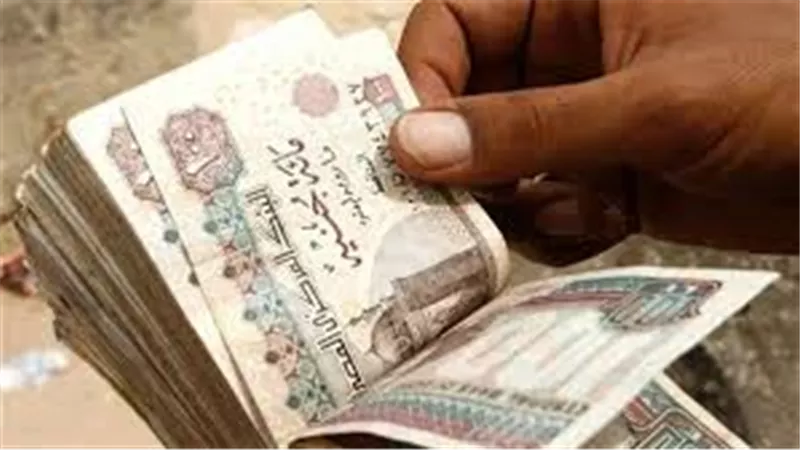 القيمة والموعد..تعرف على الحوافز الإضافية الشهرية للموظفين