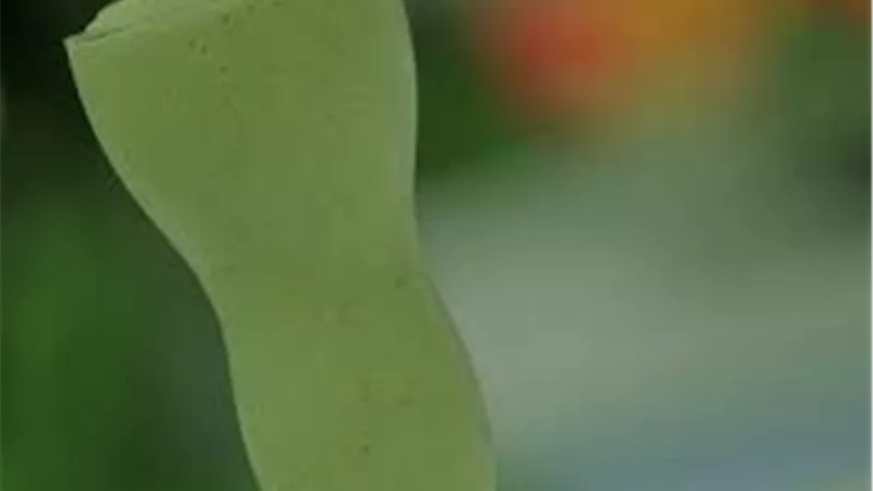 يغنيك عن الأدوية والمنشطات.. مشروب خارق يدعم الصحة الجنسية للرجال