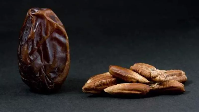 احذر رميها.. نواة التمر علاج سحري في رمضان 