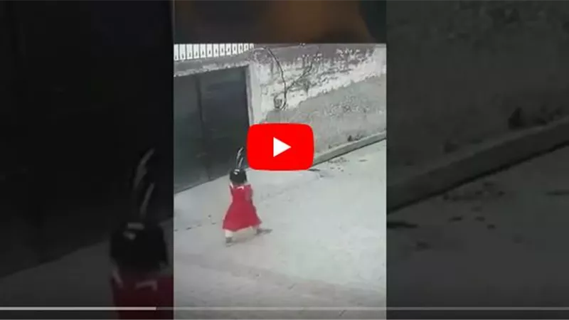 لقطات مروعة..فيديو صادم لمجموعة كلاب تهاجم طفلة أثناء سيرها بالشارع | شاهد