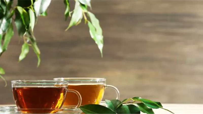 مش بس بيعدل المزاج.. تعرف على فوائد تناول الشاي بعد الفطار
