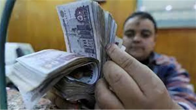 بدءا من هذا التوقيت..زيادة حوافز العاملين بالدولة 