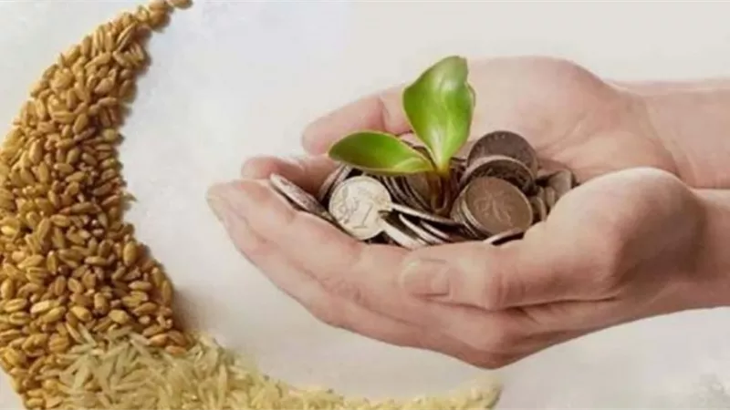 الإفتاء تحسم الجدل..ما حكم عدم إخراج زكاة الفطر؟