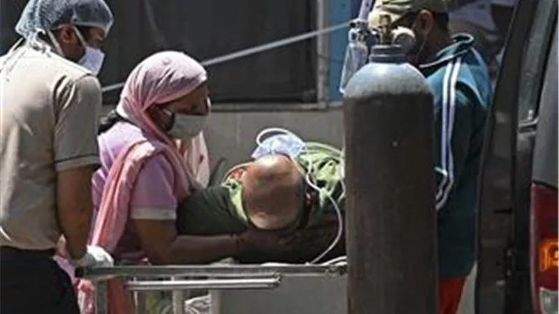 الرعب يجتاح العالم..ما هو الفطر الأسود المميت؟