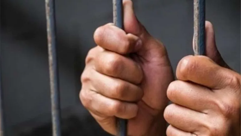 دهنه بالعسل وتركه للحشرات.. النيابة تحقق مع رجل عذب ابنه بوحشية في القليوبية