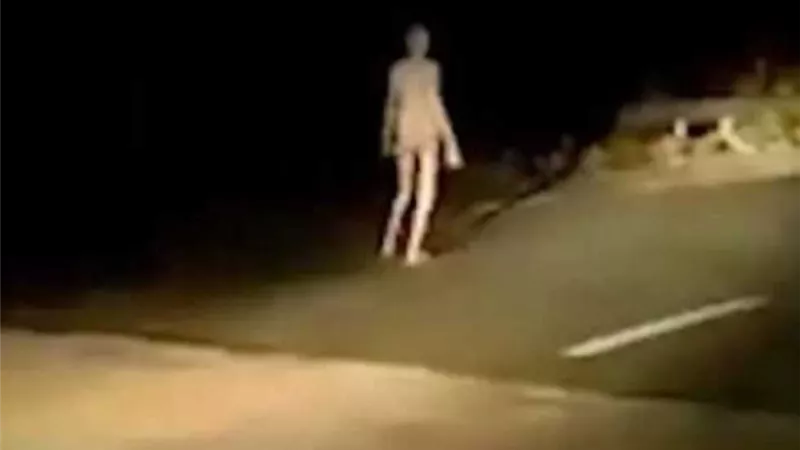 وجهه شاحب ويمشي في الظلام.. الكشف عن لغز مخلوق غريب أثار الذعر | شاهد
