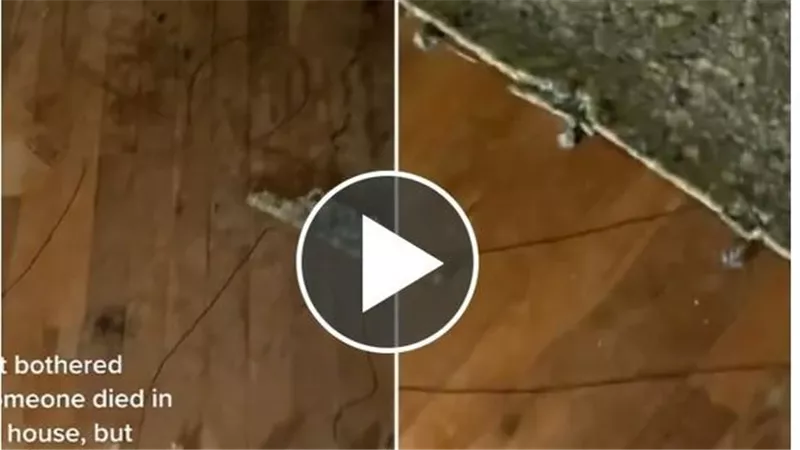 لحظات من الرعب..امرأة في حالة ذعر بسبب ما وجدته تحت السجادة | شاهد