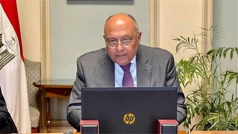 لن ندفع ثمن مياهنا.. أول رد من الخارجية على تصريحات إثيوبيا بشأن المواجهة العسكرية | شاهد