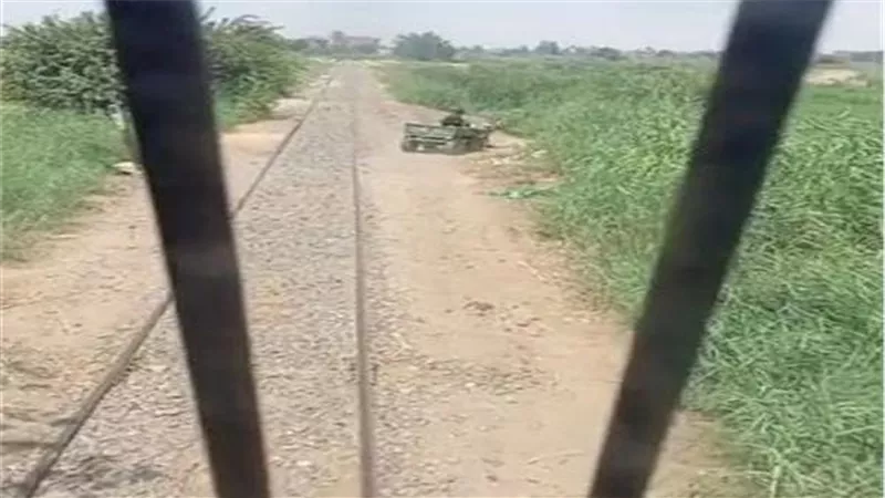 مشاهد لا تصدق.. عربة كارو تسابق قطار بالقليوبية والحمار الضحية | فيديو