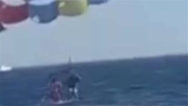 لقطات مروعة..سمكة قرش تلتهم قدم شاب بالعقبة | شاهد