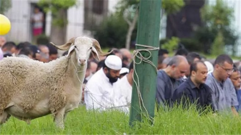 عايزين يلغوا عيد الأضحى في تونس.. ورد ناري من رئيس الفتوى السابق 