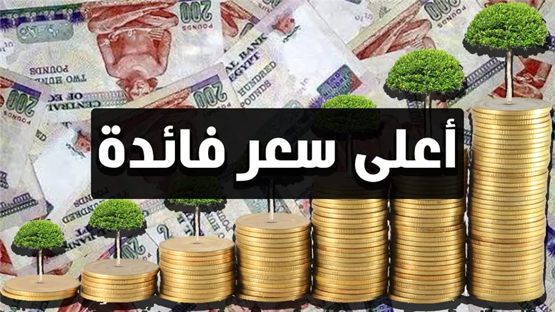  اعرف التفاصيل.. 4 بنوك تقدم شهادات استثمار بأعلى سعر فائدة