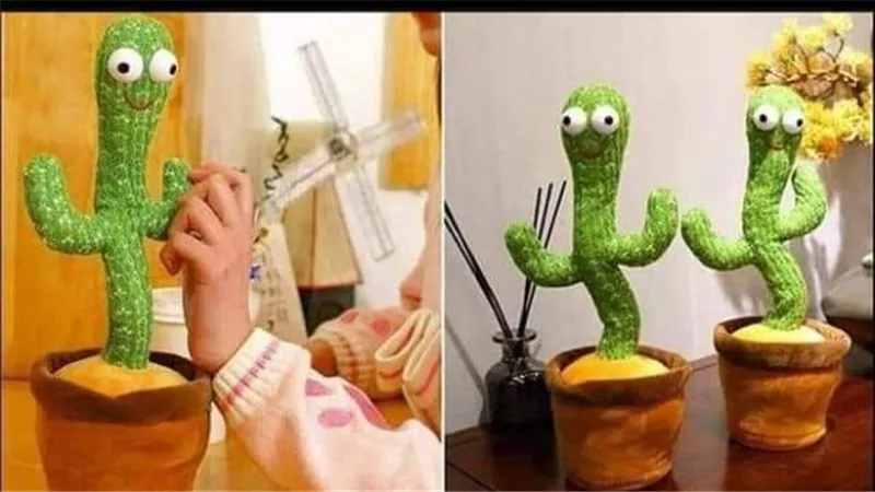 احذري منها.. هل تسبب الصبارة الراقصة التوحد والاكتئاب؟
