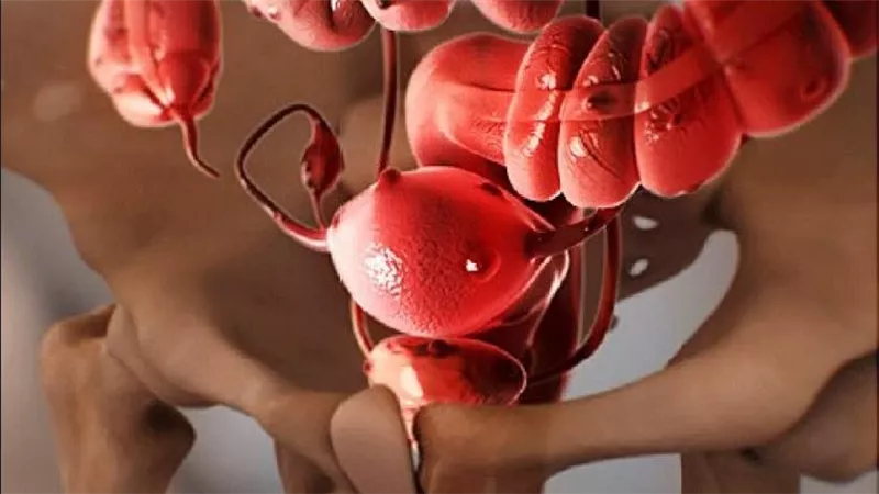  حرام في هذه الحالة.. «الإفتاء» توضح حكم زراعة الرحم من امرأة لأخرى