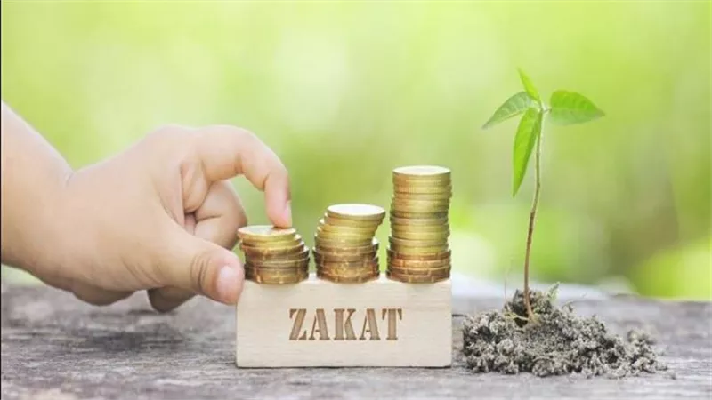  أمين الفتوى يجيب.. حكم إخراج زكاة المال للمتوفى