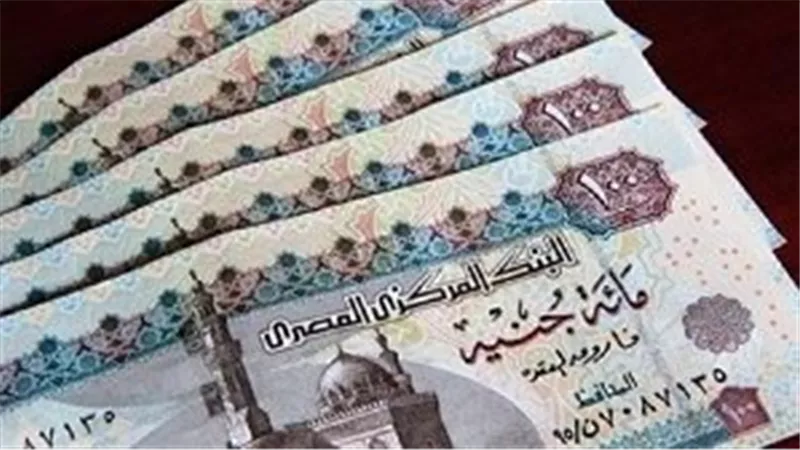 بالقانون.. معاش شهرى لـ 3 فئات من الأطفال