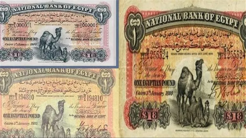 لو معاك بيعه..علامة مرسومة على الجنيه ترفع سعره لـ100 ألف