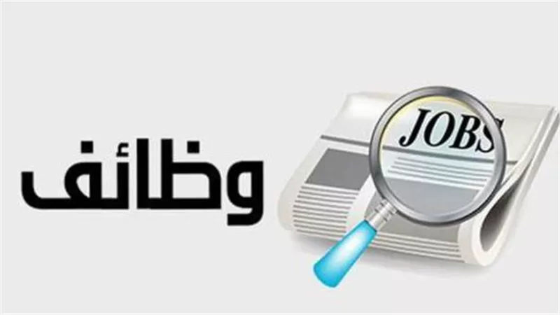 براتب 3000 جنيه.. القوى العاملة تعلن عن وظائف جديدة