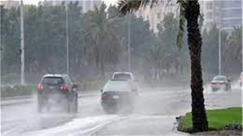 أمطار وشبورة.. حالة الطقس غدا الأحد 24-10-2021 
