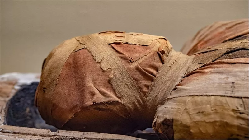 المومياء الملعونة..7 أشخاص يفقدون حياتهم بعد العثور على جثة عمرها 5300 عام | شاهد