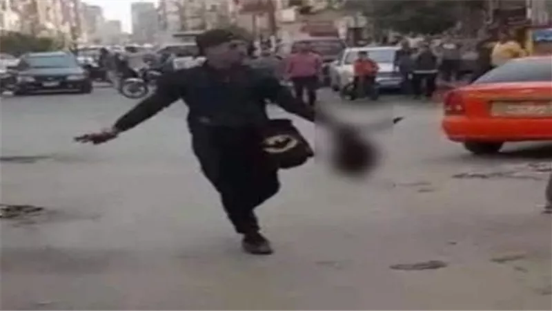 المتهم استخدم ساطور وهدد المارة بسلاح ناري..تفاصيل صادمة جديدة في جريمة الإسماعيلية | فيديو