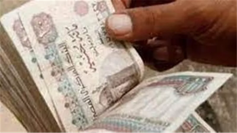 الإفتاء تحسم الجدل..هل يجوز للزوجة الإنفاق على زوجها والمنزل من مال الزكاة؟ 