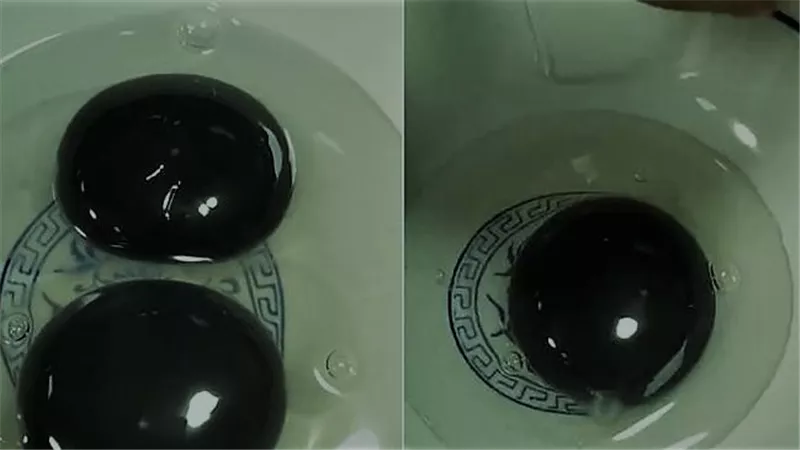 ظاهرة غريبة لا ينبغي أن تحدث.. إوزة تضع بيضًا صفاره باللون الأسود تحير العلماء | فيديو