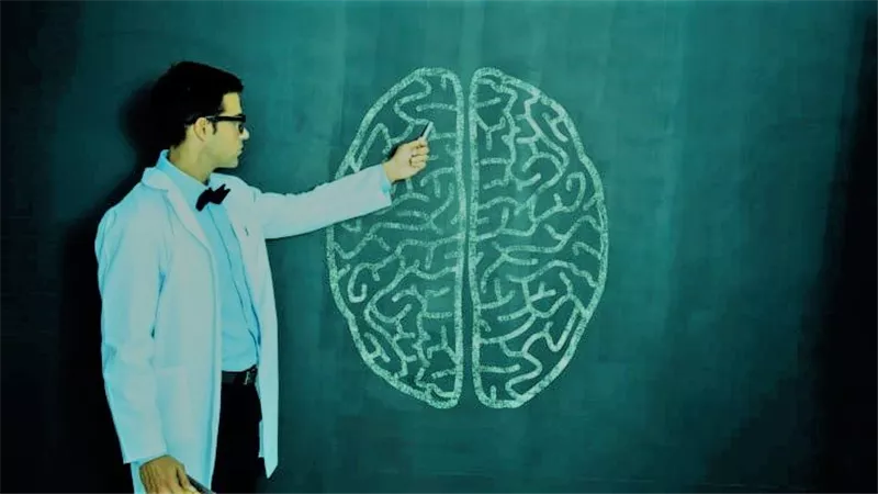 أخصائي تغذية تحذر.. 4 أطعمة تضعف الذاكرة وتشتت الانتباه