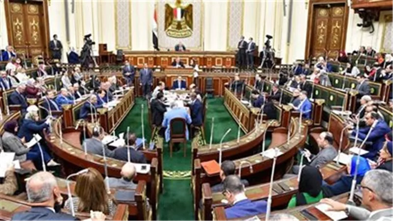 الأسماك والبن في المقدمة.. 13 منتجا معرضا لزيادة الأسعار بعد رسم الـ 10%