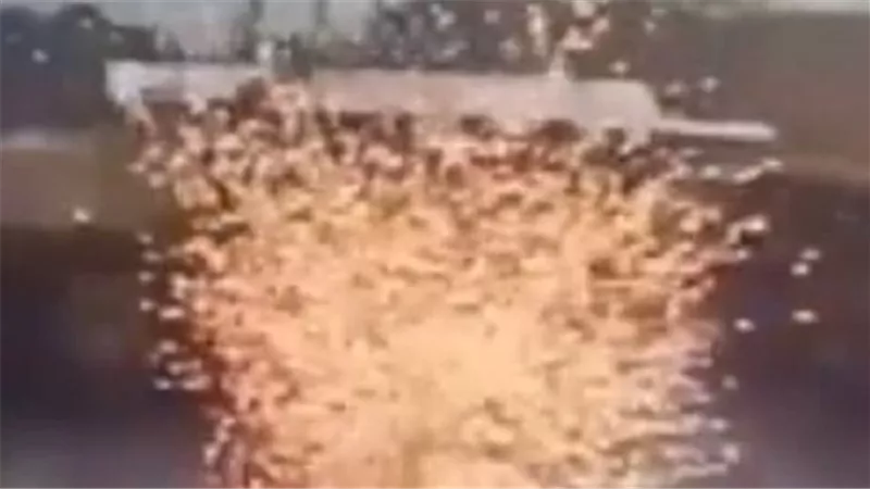 نجا بأعجوبة.. لحظات تحبس الأنفاس ترصد إصابة رجل بصاعقة | فيديو