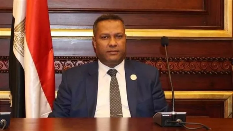 النائب محمد حمزة: رفع الحد الأدنى للاجور أحد هدايا الرئيس للمصريين فى العام الجديد